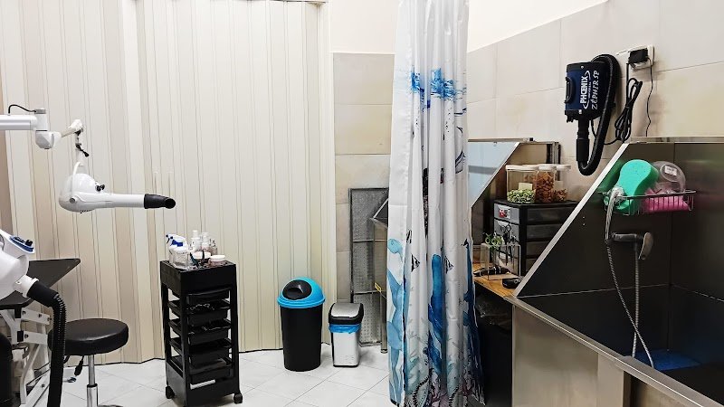 Miglior Amico - Foto 4