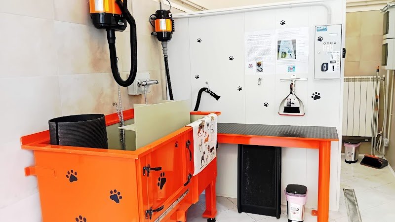 Miglior Amico - Foto 5