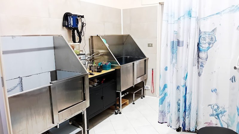 Miglior Amico - Foto 6