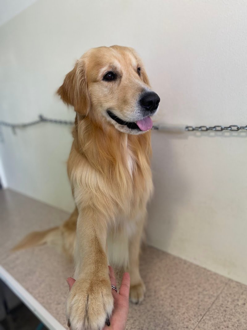 Mille Bolle Bau - Foto 3