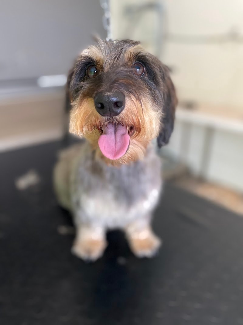 Mille Bolle Bau - Foto 4