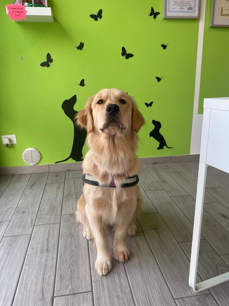 Mille Bolle Bau - Foto 5