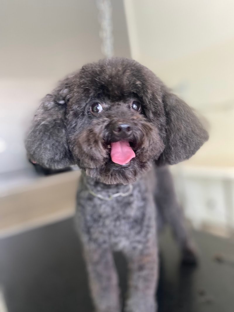 Mille Bolle Bau - Foto 6