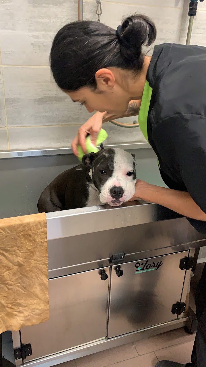 Mille Bolle Bau (Cuneo) - Foto 1