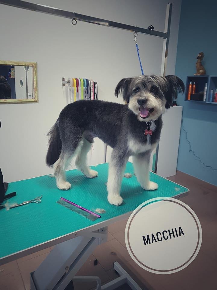 Mille Bolle Bau (Cuneo) - Foto 3