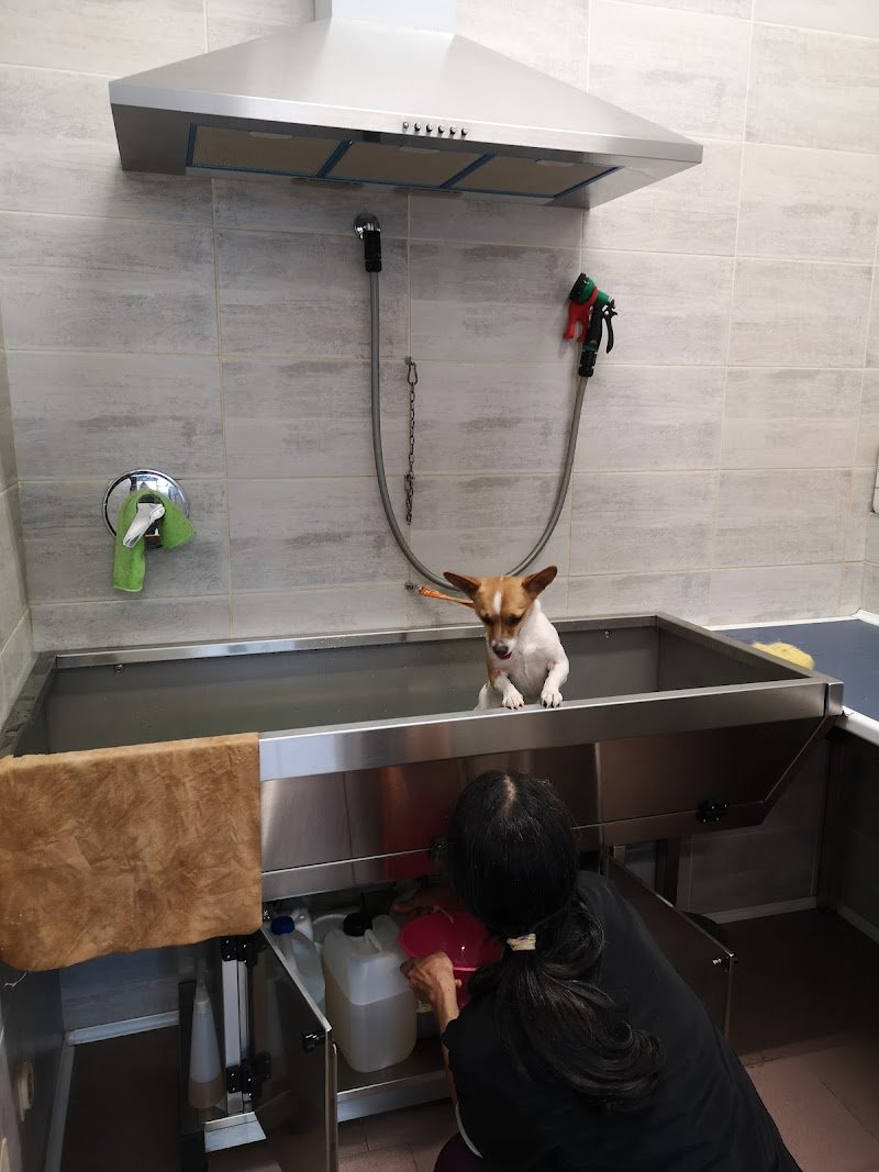 Mille Bolle Bau (Cuneo) - Foto 5