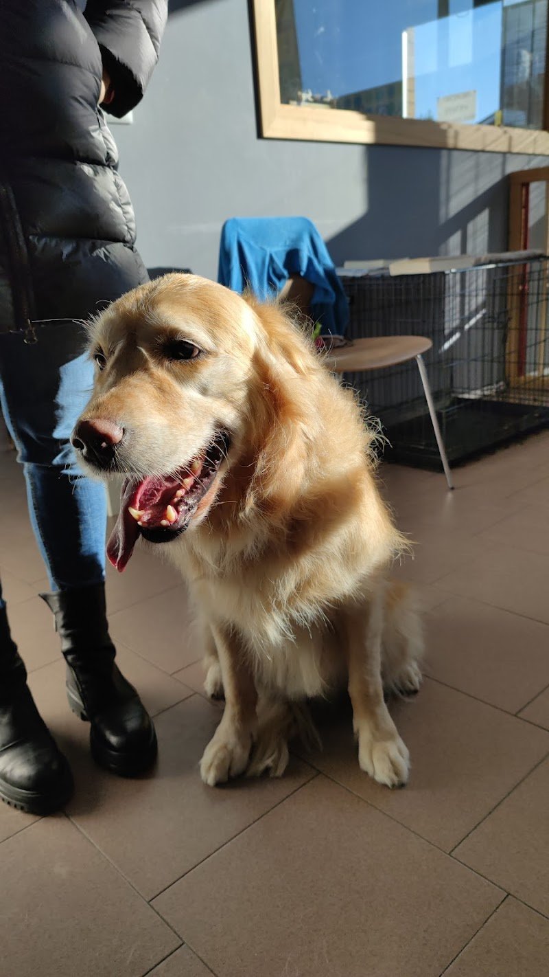 Mille Bolle Bau (Cuneo) - Foto 6