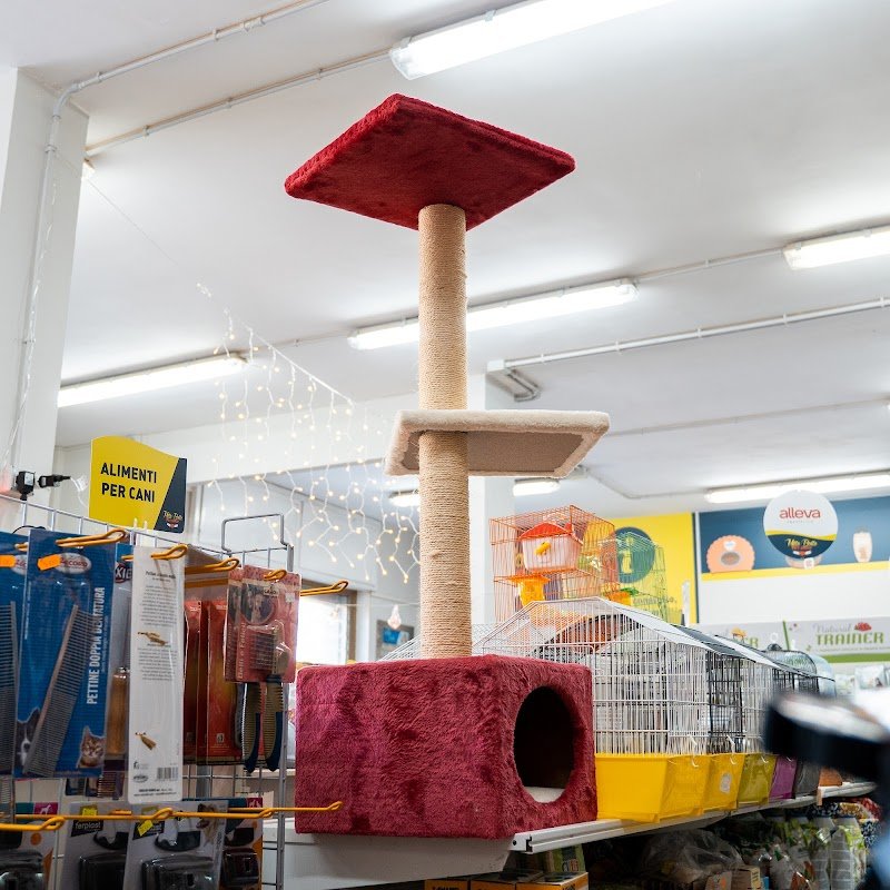 Mille Bolle di Gino Quarta - Negozio per Animali - Foto 2