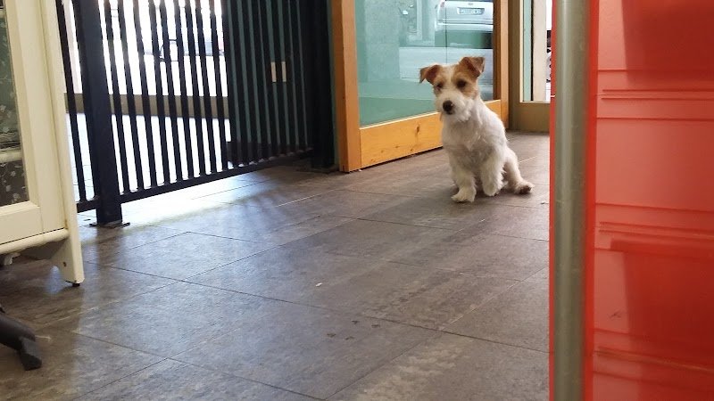 Mille Impronte - Foto 1