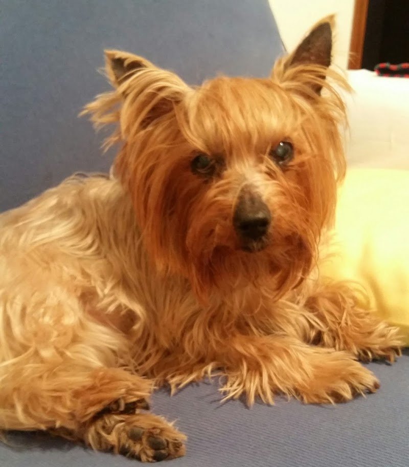 Mille Impronte - Foto 2