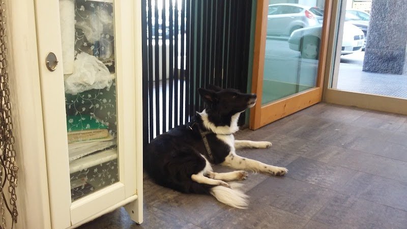 Mille Impronte - Foto 3