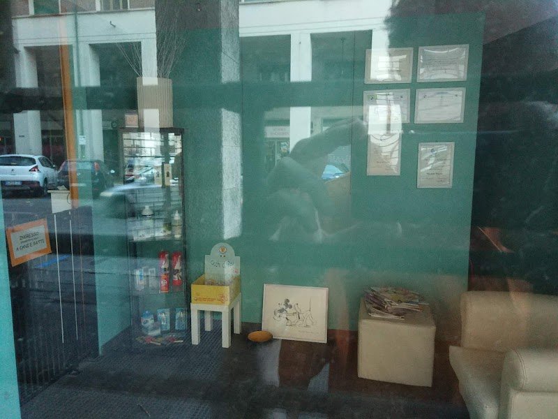 Mille Impronte - Foto 5