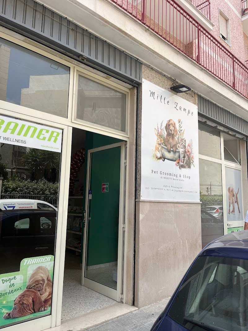 Mille Zampe toelettatura - Foto 3