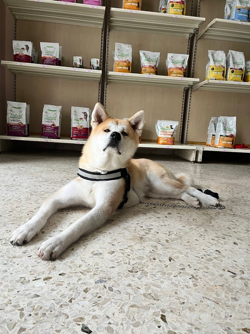 Mille Zampe toelettatura - Foto 5