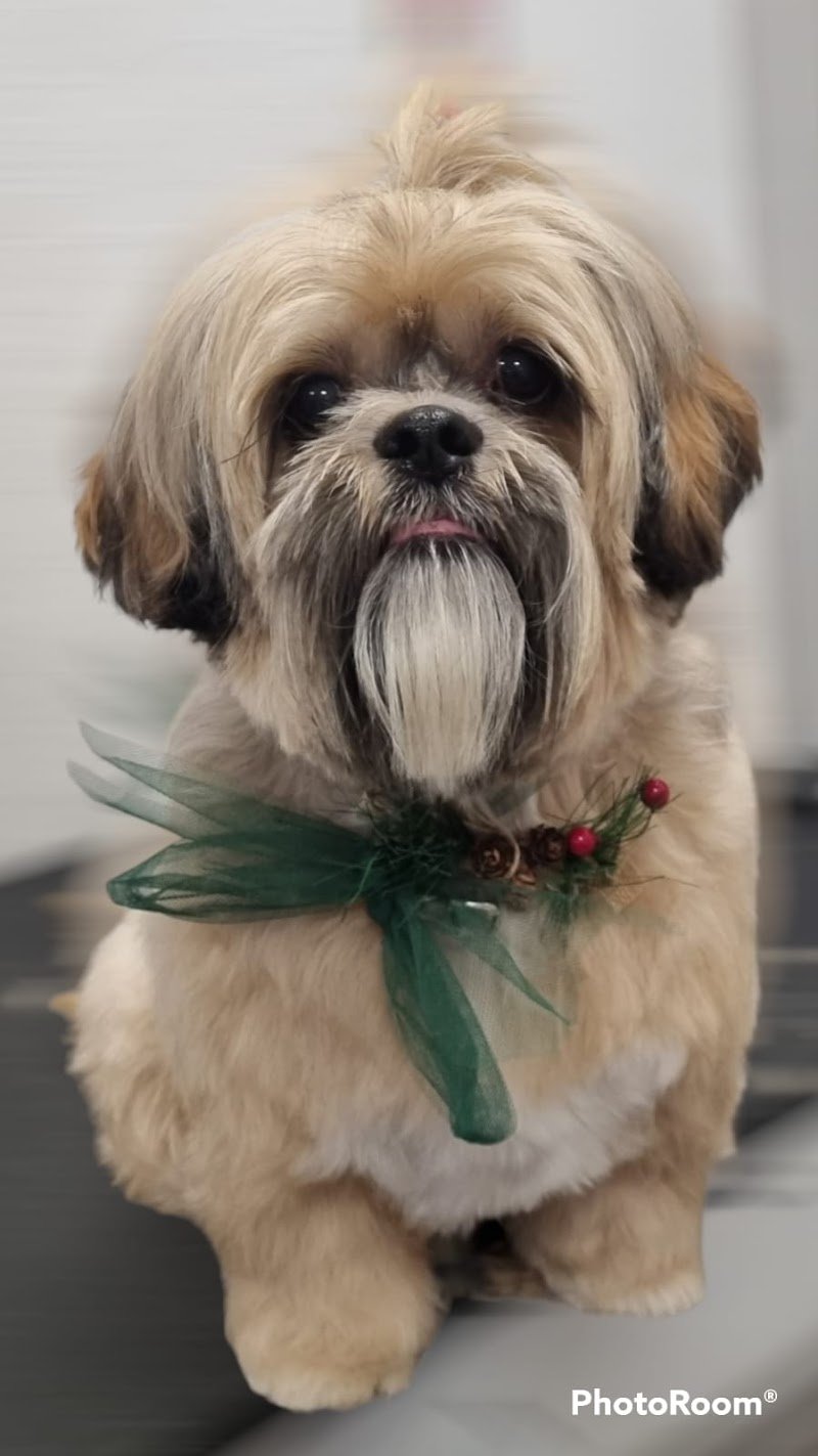 MilleBolleBau - Foto 6