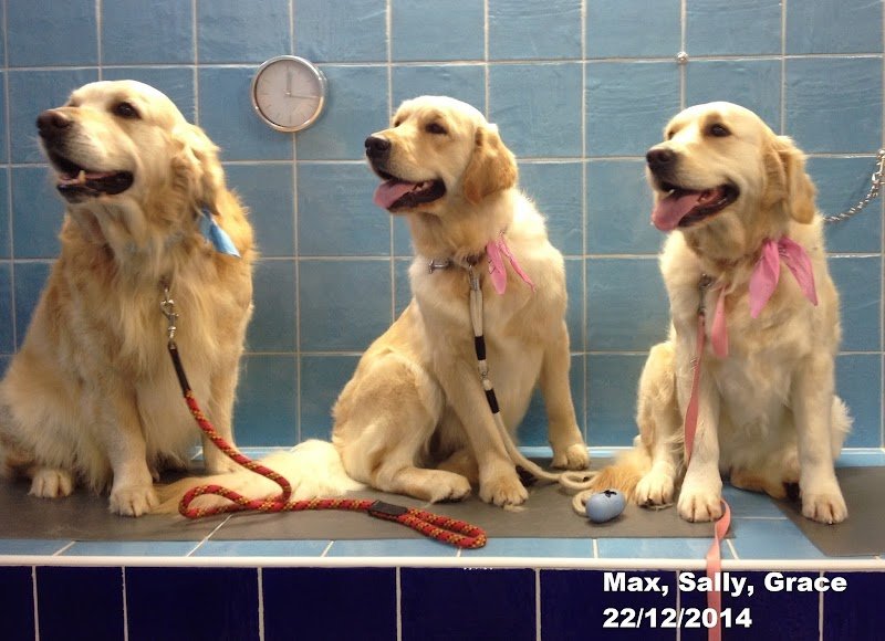 Millebollebau - Foto 1