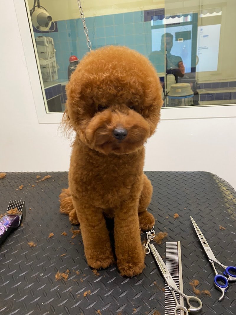 Millebollebau - Foto 2