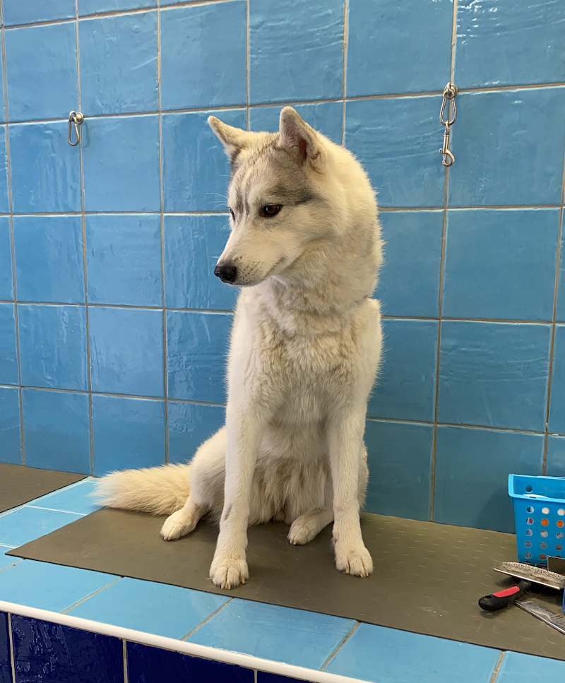 Millebollebau - Foto 3