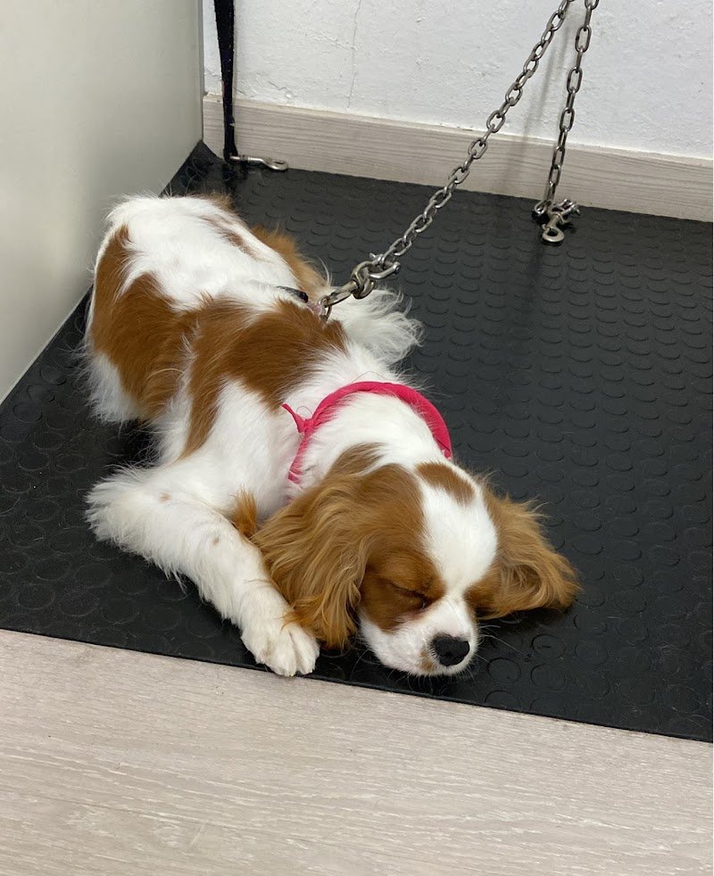 Millebollebau - Foto 4