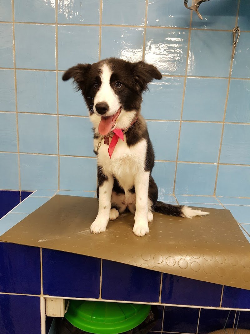 Millebollebau - Foto 5