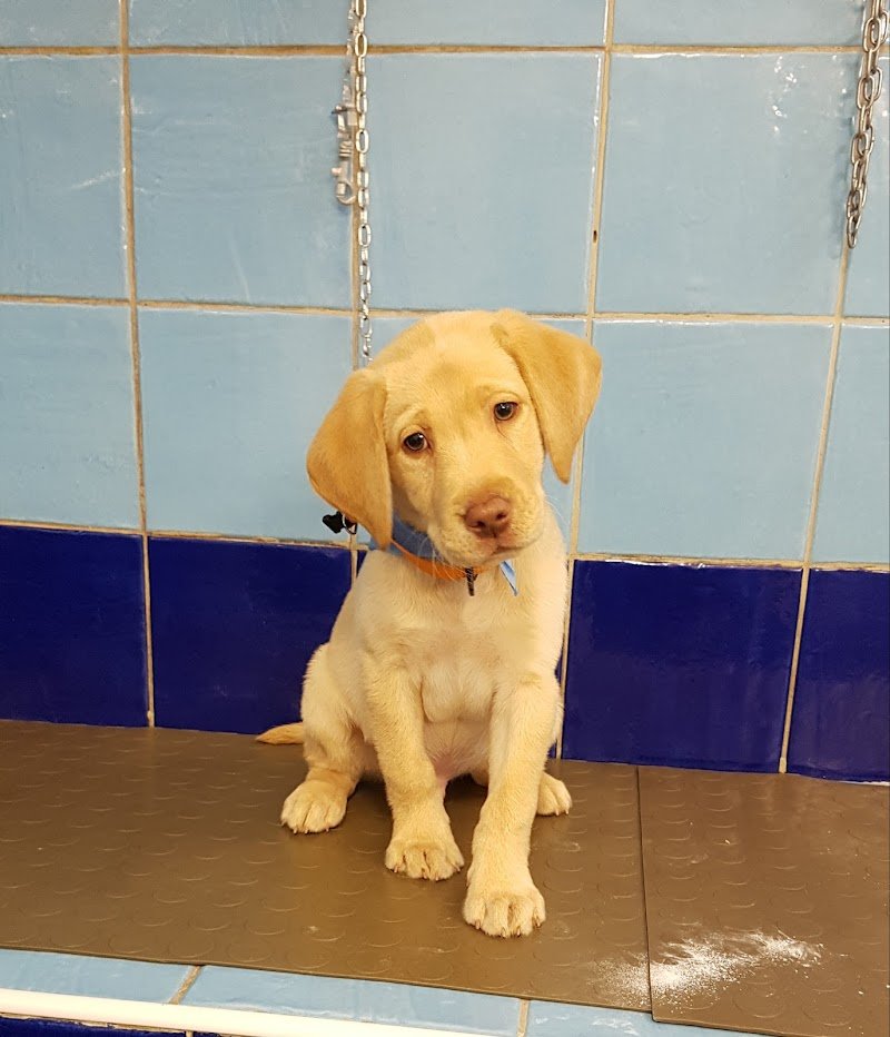 Millebollebau - Foto 6