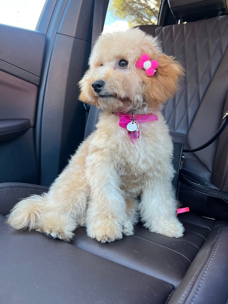 Minny e Tommy - Foto 1