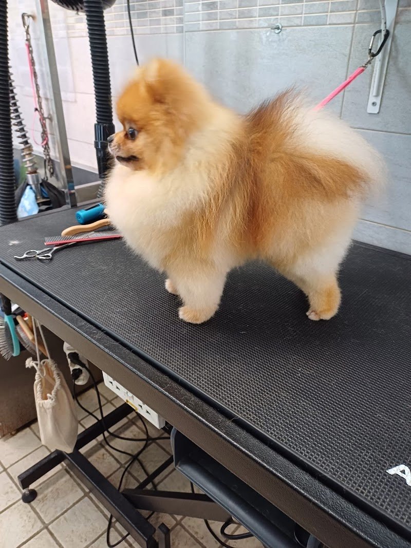 Minny e Tommy - Foto 2