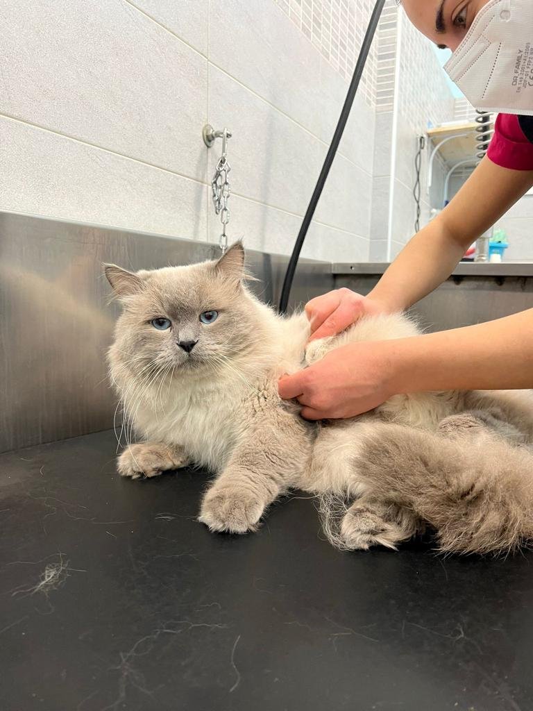 Minny e Tommy - Foto 3