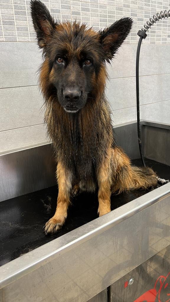 Minny e Tommy - Foto 4