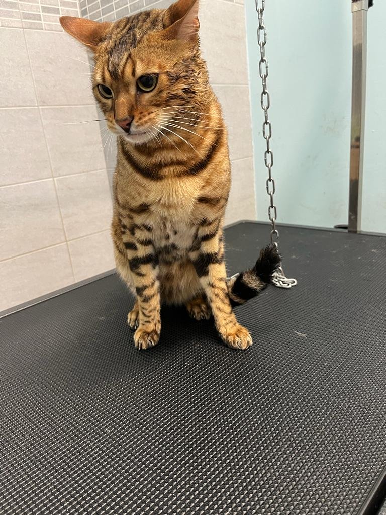 Minny e Tommy - Foto 5