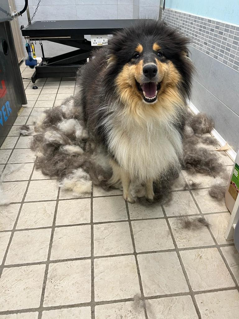 Minny e Tommy - Foto 6