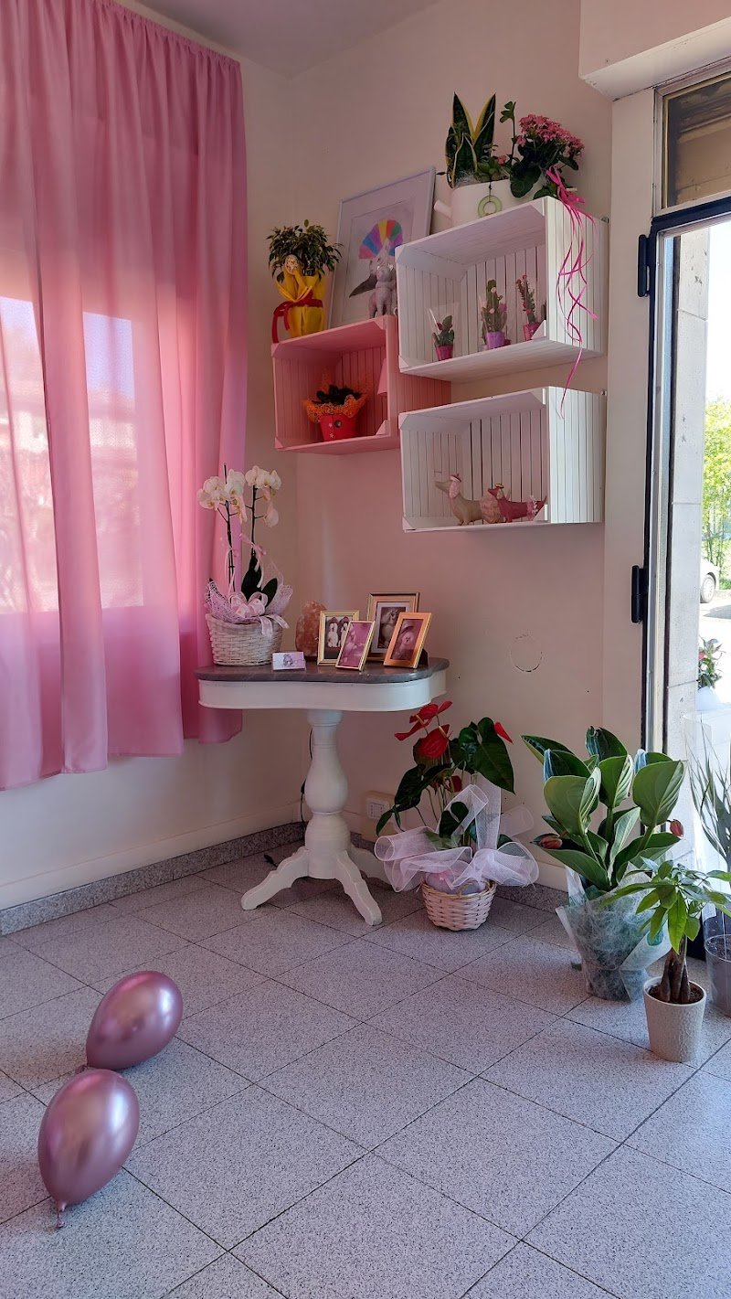 Miss Groomer - Pet Salon - Foto 5