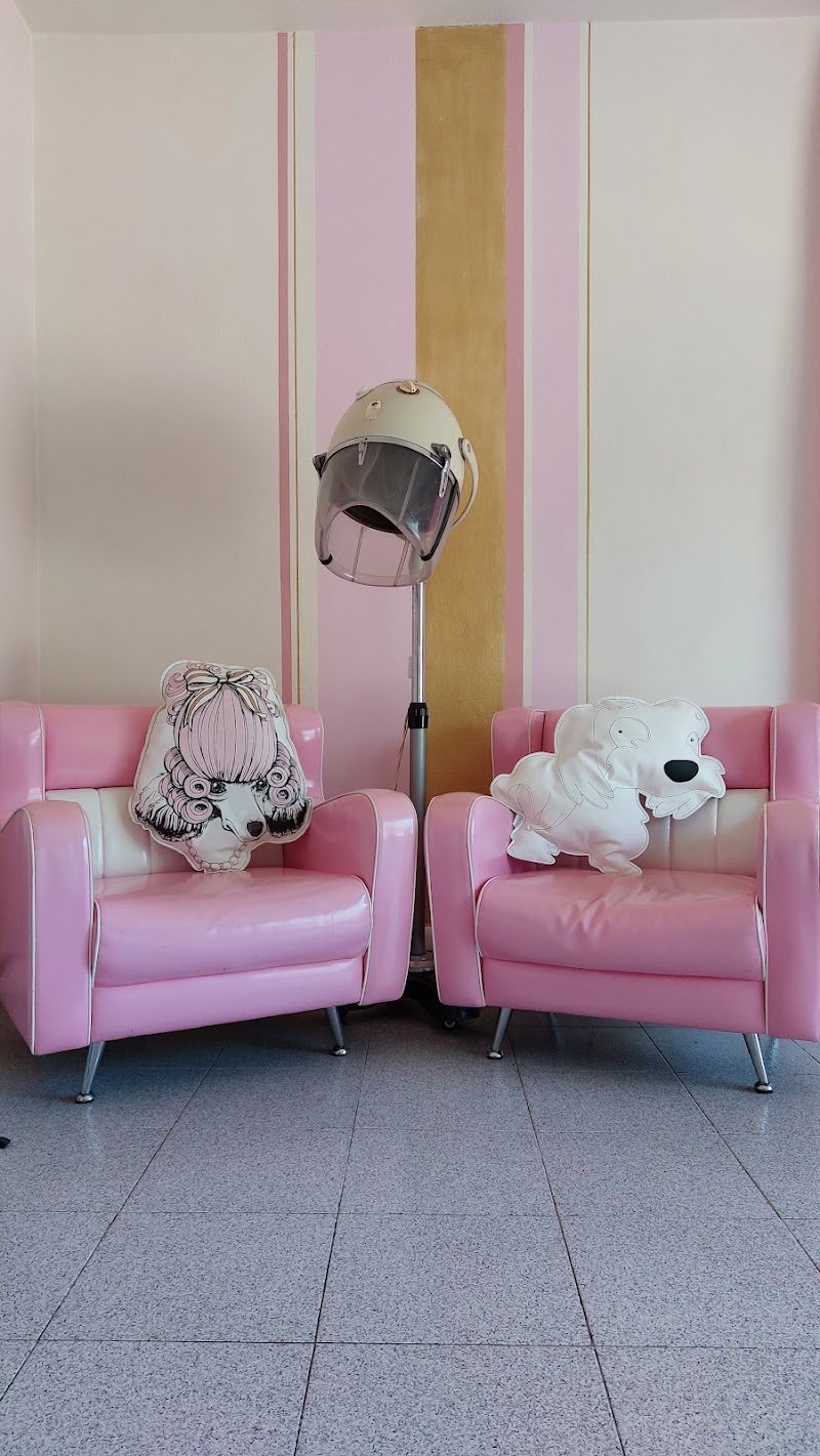 Miss Groomer - Pet Salon - Foto 6