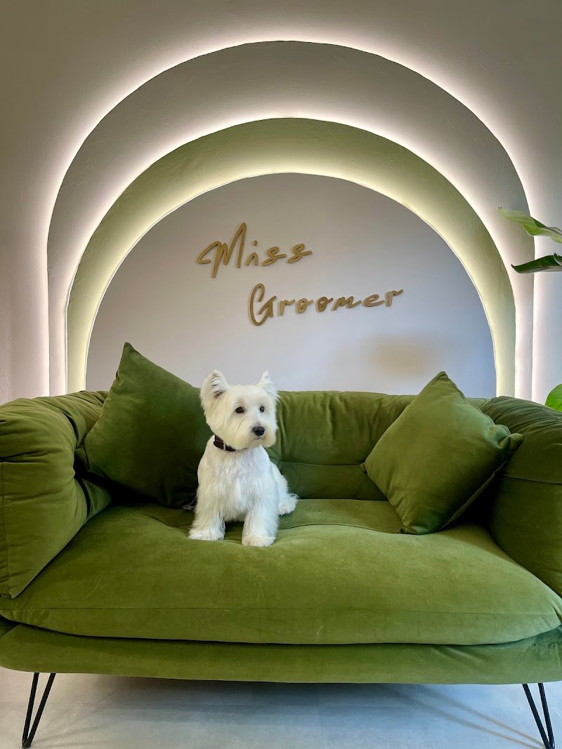 Miss Groomer - Toelettatura & Pet Boutique - Foto 2