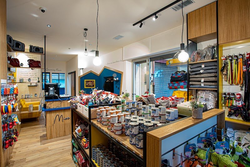 Miss Pet - Care & Shop - Foto 1