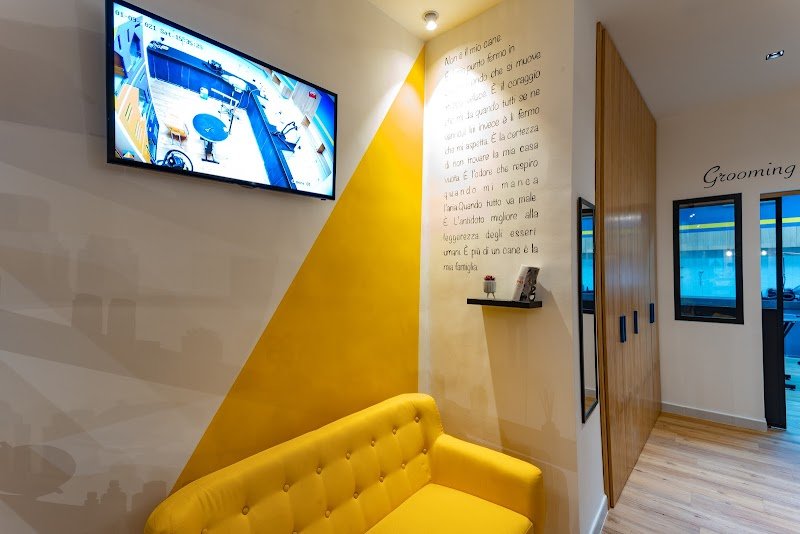 Miss Pet - Care & Shop - Foto 5