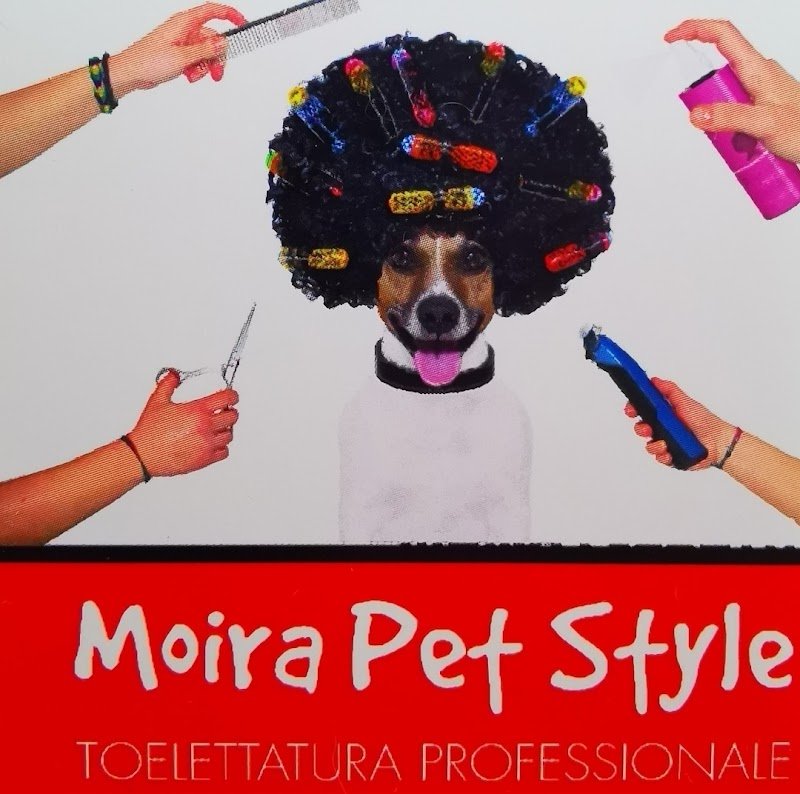 Moira Pet Style - Foto 6