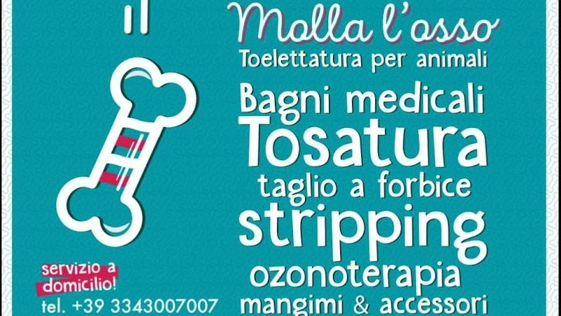 Molla L'osso Di Laura Bonello - Foto 4