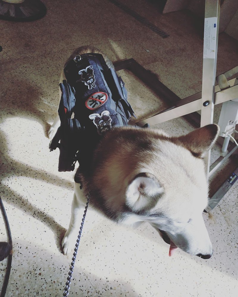 Molla L'osso Di Laura Bonello - Foto 2