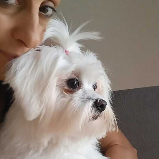 Molla L'Osso - Toelettatura Animali - Foto 1