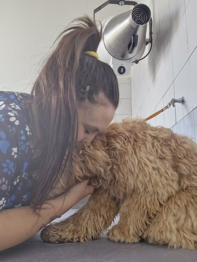 Mon Petit Toelettatura di Antonella Barbato - Foto 6