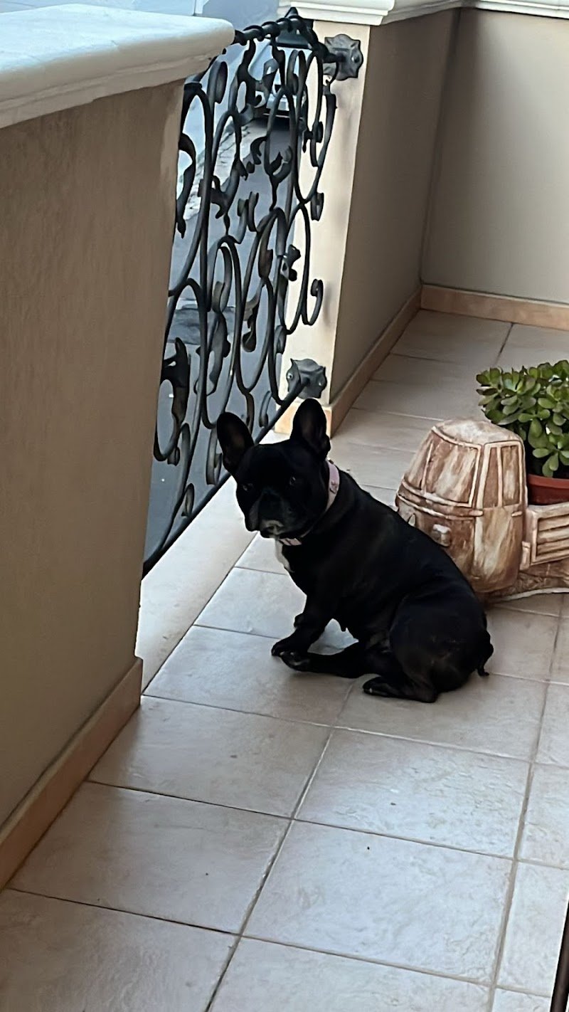 Mondial Fauna di Columpsi Giuseppe - Foto 5