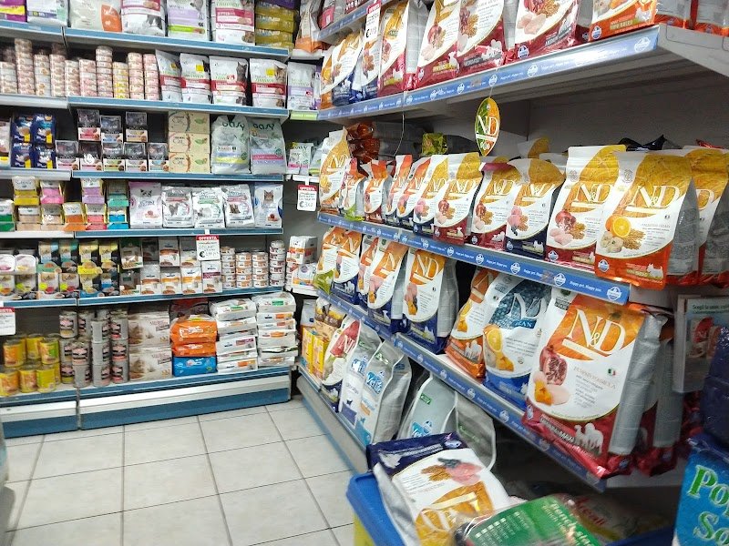 Mondo Animale - Foto 5