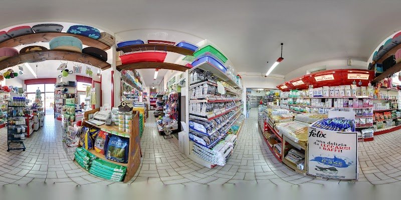 Mondo Animale di Galasso Massimiliano - Foto 2