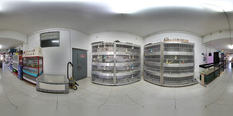 Mondo Animale di Galasso Massimiliano - Foto 4