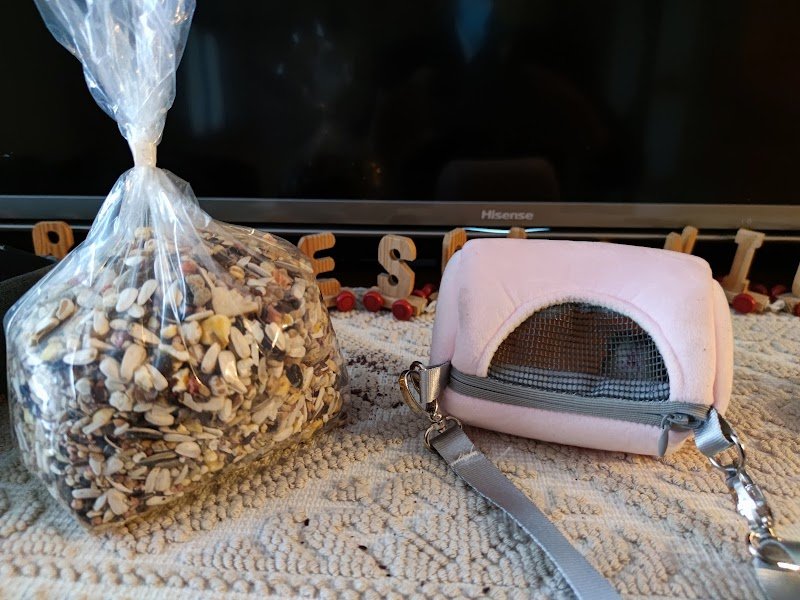 Mondo Animale di Galasso Massimiliano - Foto 6