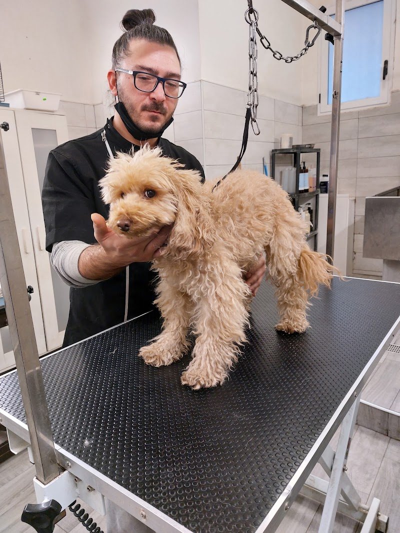 Mondo animale - Foto 2