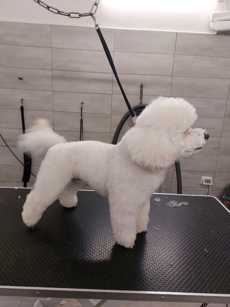 Mondo animale - Foto 5