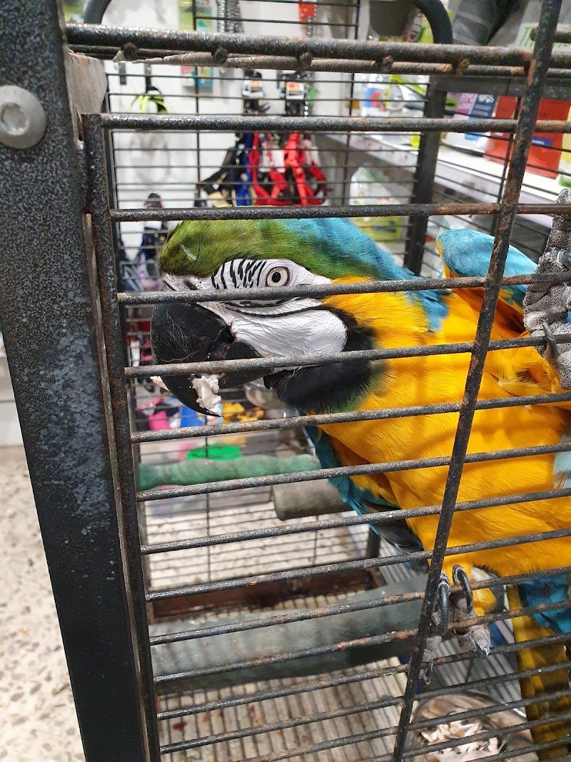 Mondo Animali - Foto 2