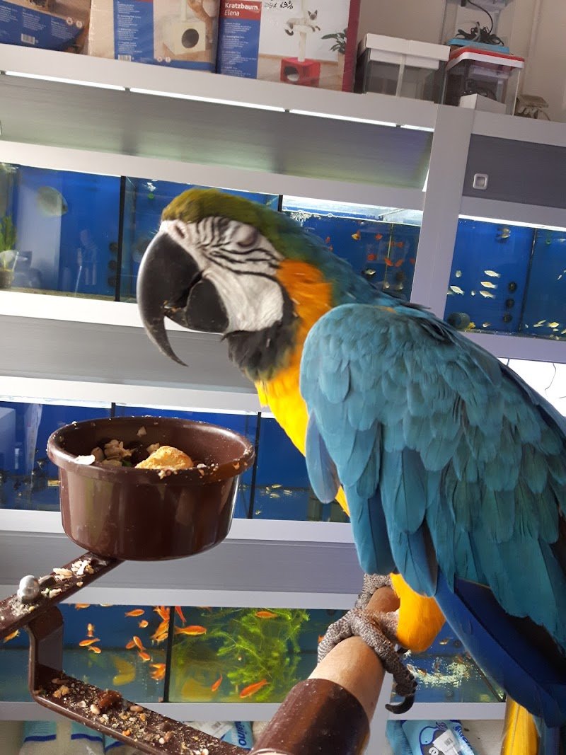 Mondo Animali - Foto 3